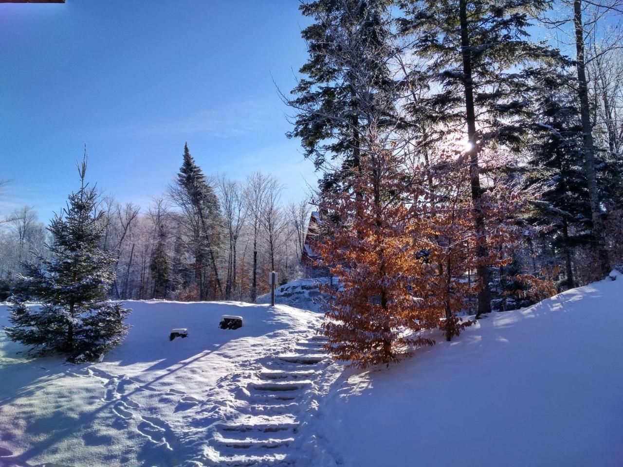 Chalet F116 Mont-Tremblant Nord Lac-Superieur Exterior foto